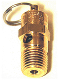VIA92175 Safety valve 175psi 1/4^