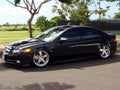 ARU3079 ACURA 04-08 TL (UA6) Struts Only