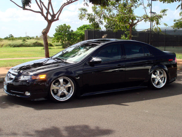 ARU3079 ACURA 04-08 TL (UA6) Struts Only