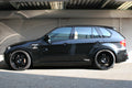 ARU3081 BMW 07-UP X5 E70 (except Adaptive Drive equipped) Struts Only