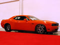 ARU3087 DODGE 08-UP CHALLENGER RWD Struts Only