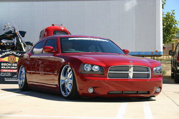 ARU3006 DODGE 06-10 CHARGER RWD Struts Only