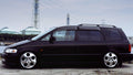 ARU2979 HONDA 95-98 ODYSSEY 2WD 4WD (RA1-4) Struts Only
