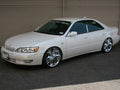 ARU3050 LEXUS 94-01 ES300 2WD (MCV20/21)Struts Only