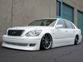 ARU2931 LEXUS 01-06 LS 430 (UCF30/31)Struts Only