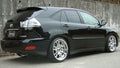ARU2941 LEXUS 04- RX 330 2WD (A/MCU30.31)Struts Only