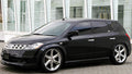 ARU2992 NISSAN 03-07 MURANO 2WD (T/PZ50) Struts Only