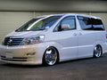 ARU2954 TOYOTA ALPHARD 2WD4WD (MNH/ANH10.15/ATH10)Struts Only
