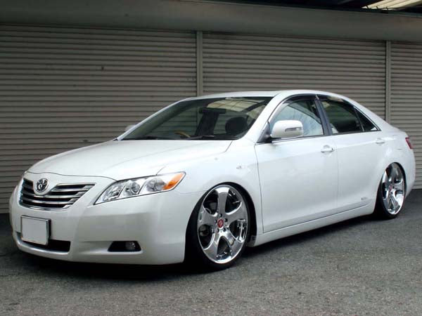 ARU2946 TOYOTA 06-UP CAMRY 2WD (ACV40)Struts Only