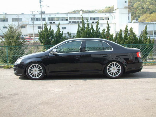 ARU3014 VW 05- JETTA 2WD (GH-1KAXX/GH1KBLK) Struts Only