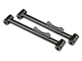 ART12135899 79-04 Mustang Rear Lower Control Arms LCA22300