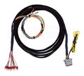AVS-VWH-15-AA-7SWB Accuair VU4 to AVS 7-switch Switch Box Wire 15ft