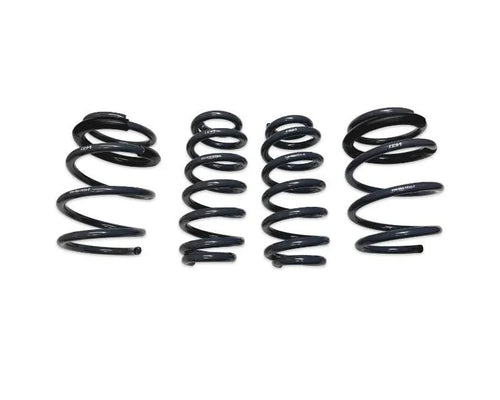 034 Motorsports Dynamic+ Lowering Springs for Audi RS3 2023-2025, 1" Front, 0.75" Rear