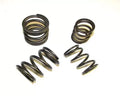 034 Motorsports High Rate Valve Spring Set for Audi 5-Cylinder 20V, 0.550" Lift Compatible