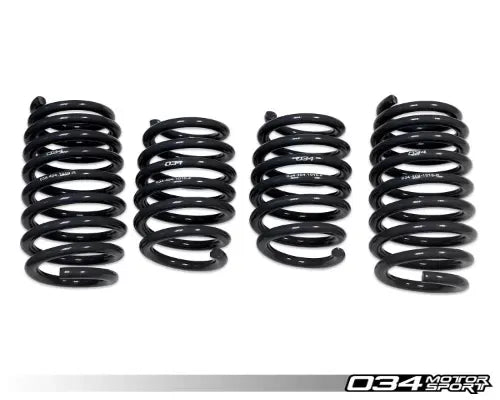 034 Motorsports Dynamic+ Lowering Springs for Audi R8 2006-2015 V8 4.2L FSI