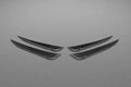 Capristo Exhaust Matte Carbon Fiber Front Fins for Ferrari 458 Speciale 2013-2015