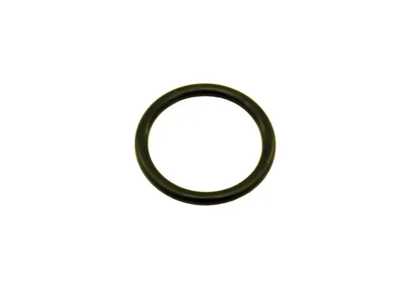 Nitrous Express 3/4" O-Ring for 2.5lb Motorcycle Nitrous Bottle Valve Replacement