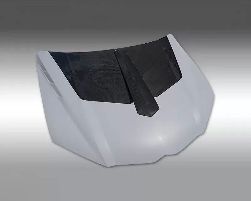 Novitec Hood Primed Partial Visible Carbon for Lamborghini Urus 2019-2022